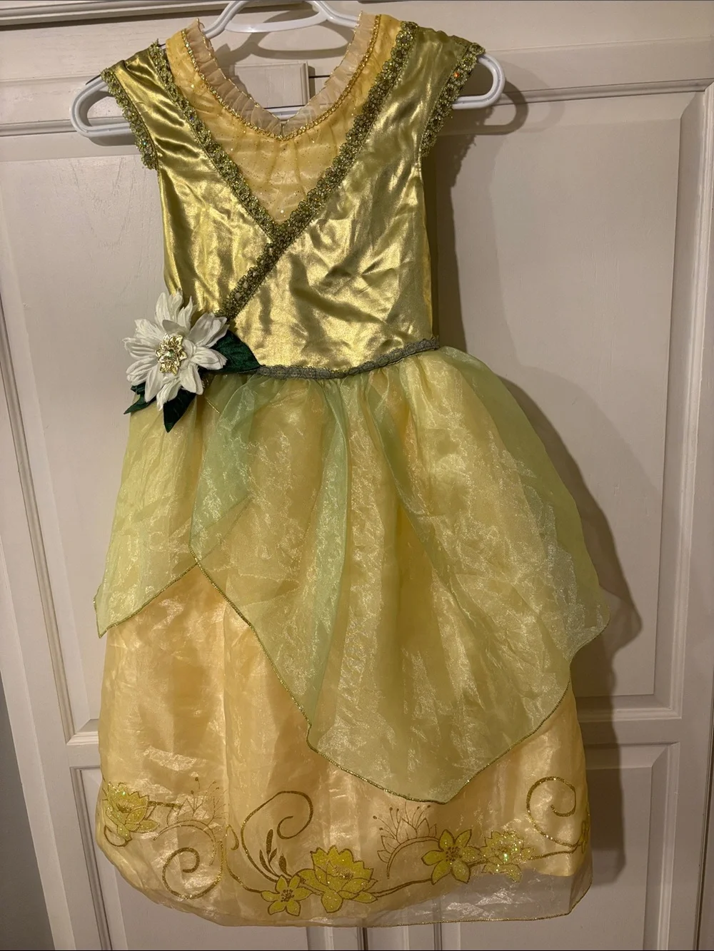 Disney Store Tiana Princess and the Frog Costume Dress sz 5/6
